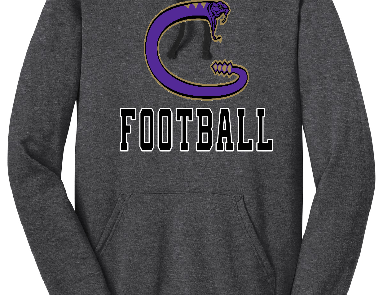 Big C Snake Hoodie